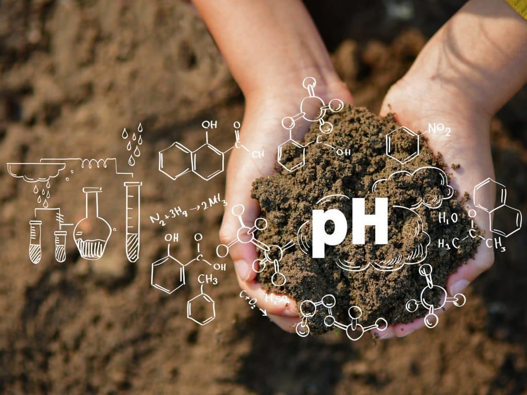 Handful of soil with pH graphics.