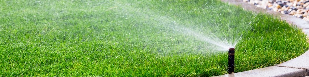 Should plants be watered during the heat of the day? Follow these instructions for watering your lawn during the heat and watering plants during the day's heat.