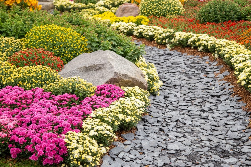Winding garden path with colorful fall flowers