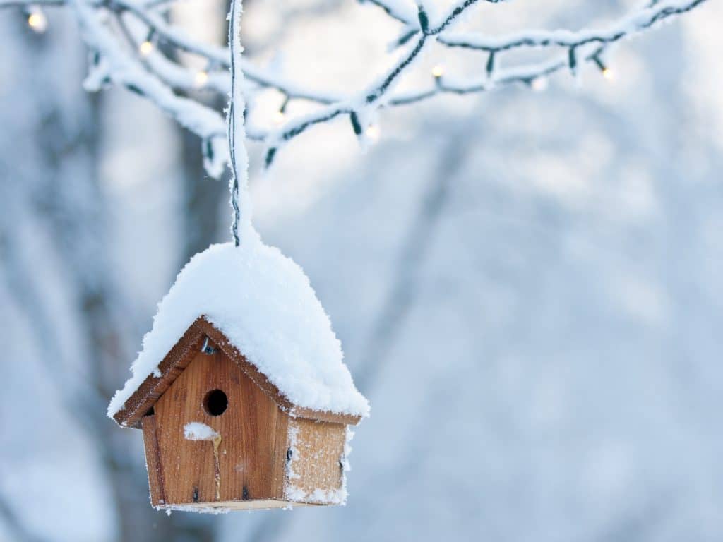 Bird house covered is fresh snow
