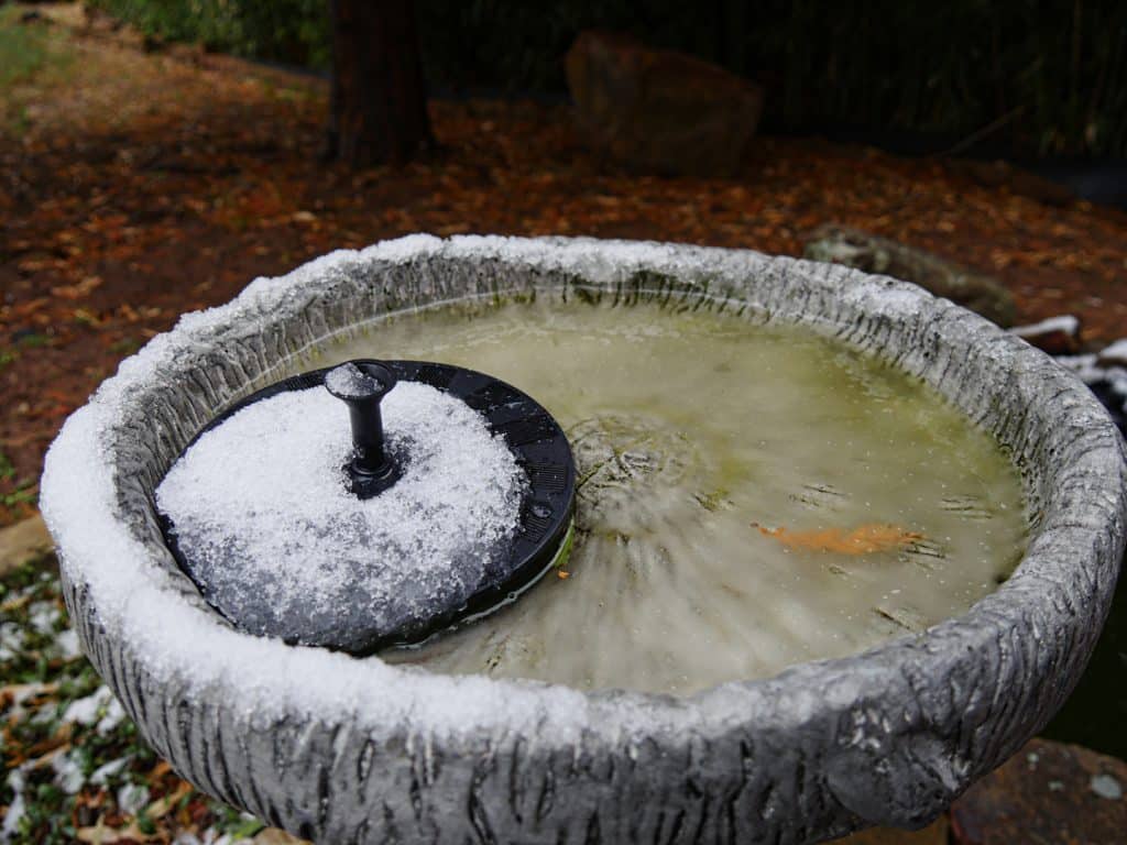 Bird bath in winter with heater