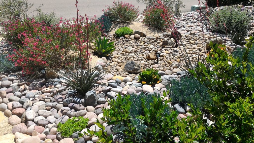 Xeriscaped front yard for water conservation with dry creek bed and economical solar lighting.
