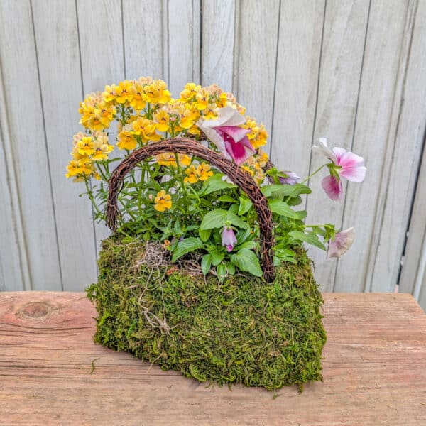 Grab and Go Spring $29.99