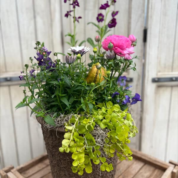 Grab and Go Spring $79.99