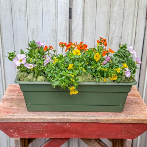Grab and Go Spring $49.99