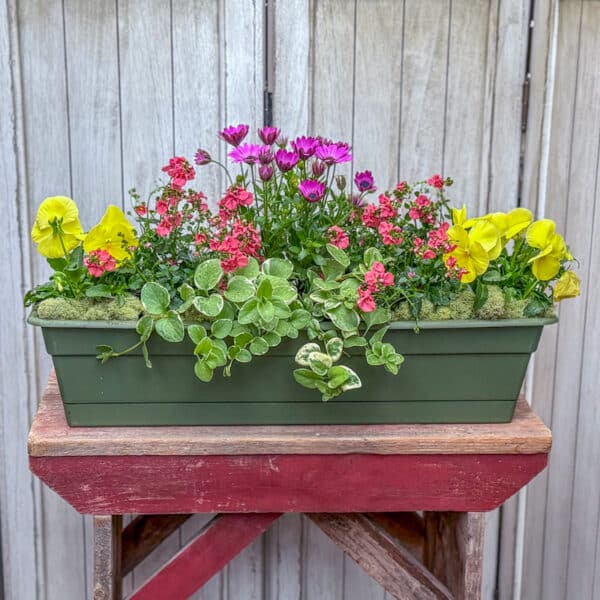 Grab and Go Spring $59.99