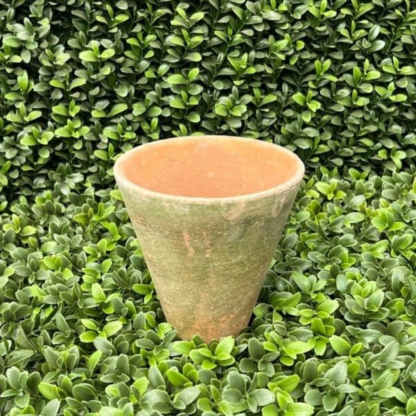 Campo De Fiori, Aged Victorian Pot 4.5"