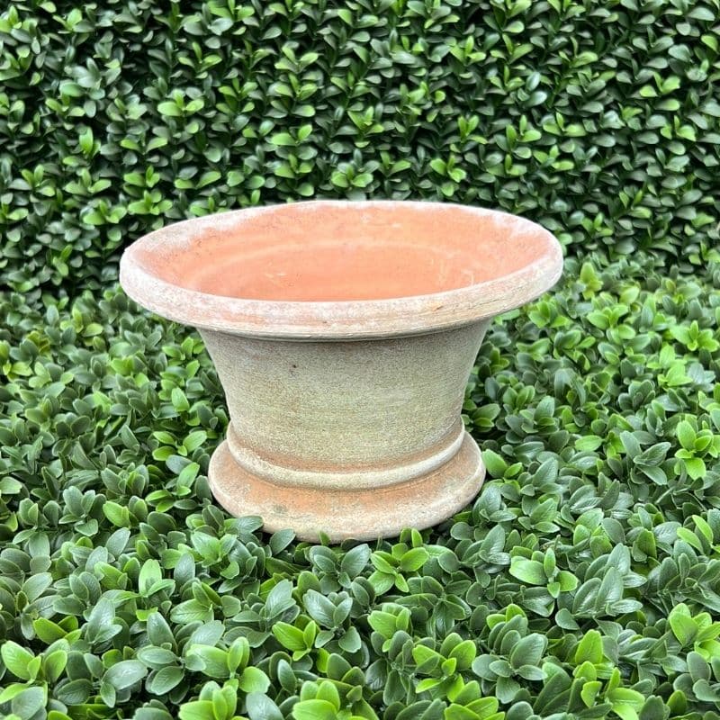 Campo De Fiori, Aged Rita Dear Planter, Sm