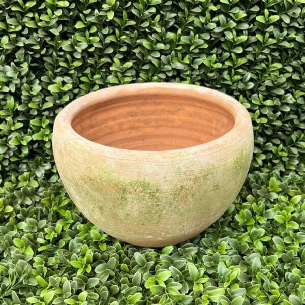 Campo De Fiori, Large Coquito Planter
