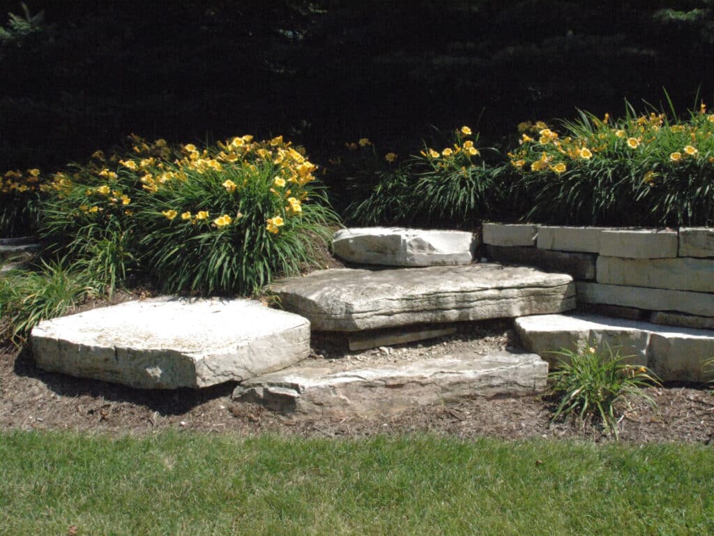Chilton Outcropping in garden bed