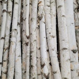 EXT-Branch, Birch Pole (5'L x 1-2"D)