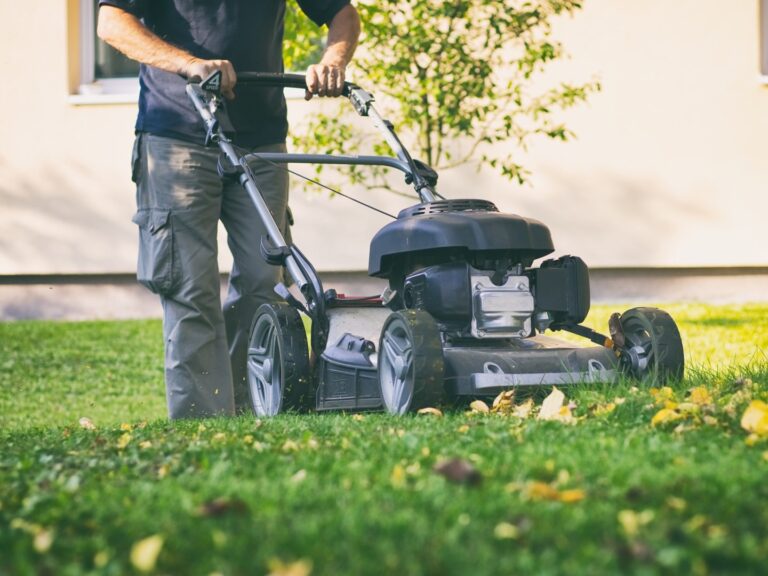 5 Things You Need to Do to Get Your Garden Ready for Spring! Lurvey