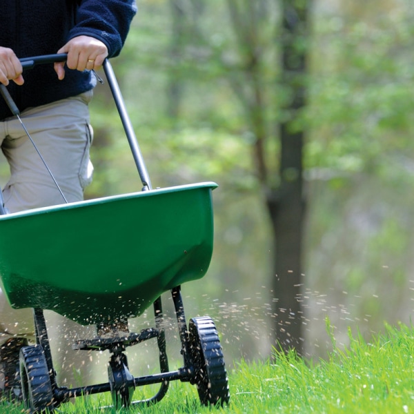 Lawn Fertilizer