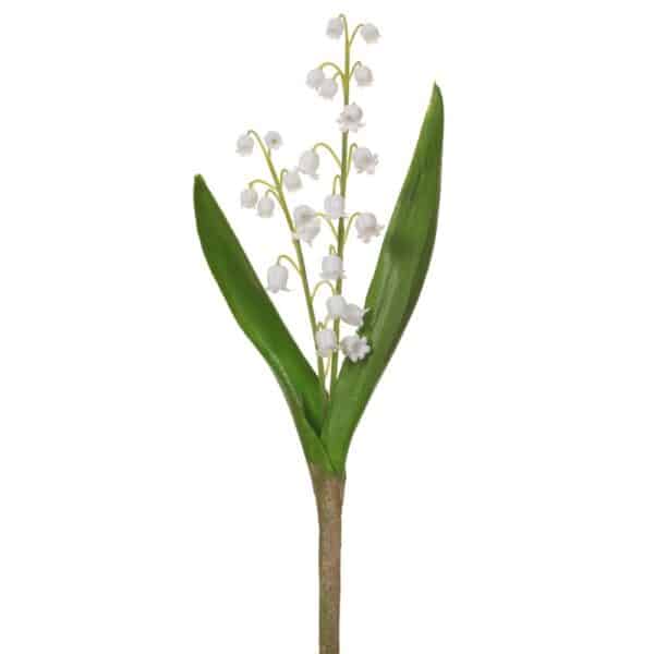 Lily of the Valley Stem