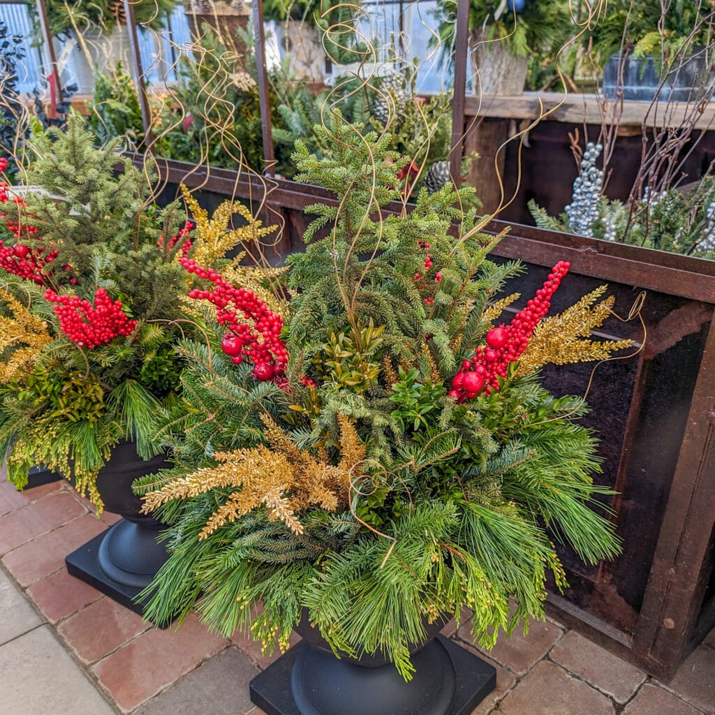 Premade holiday container with red and gold accents