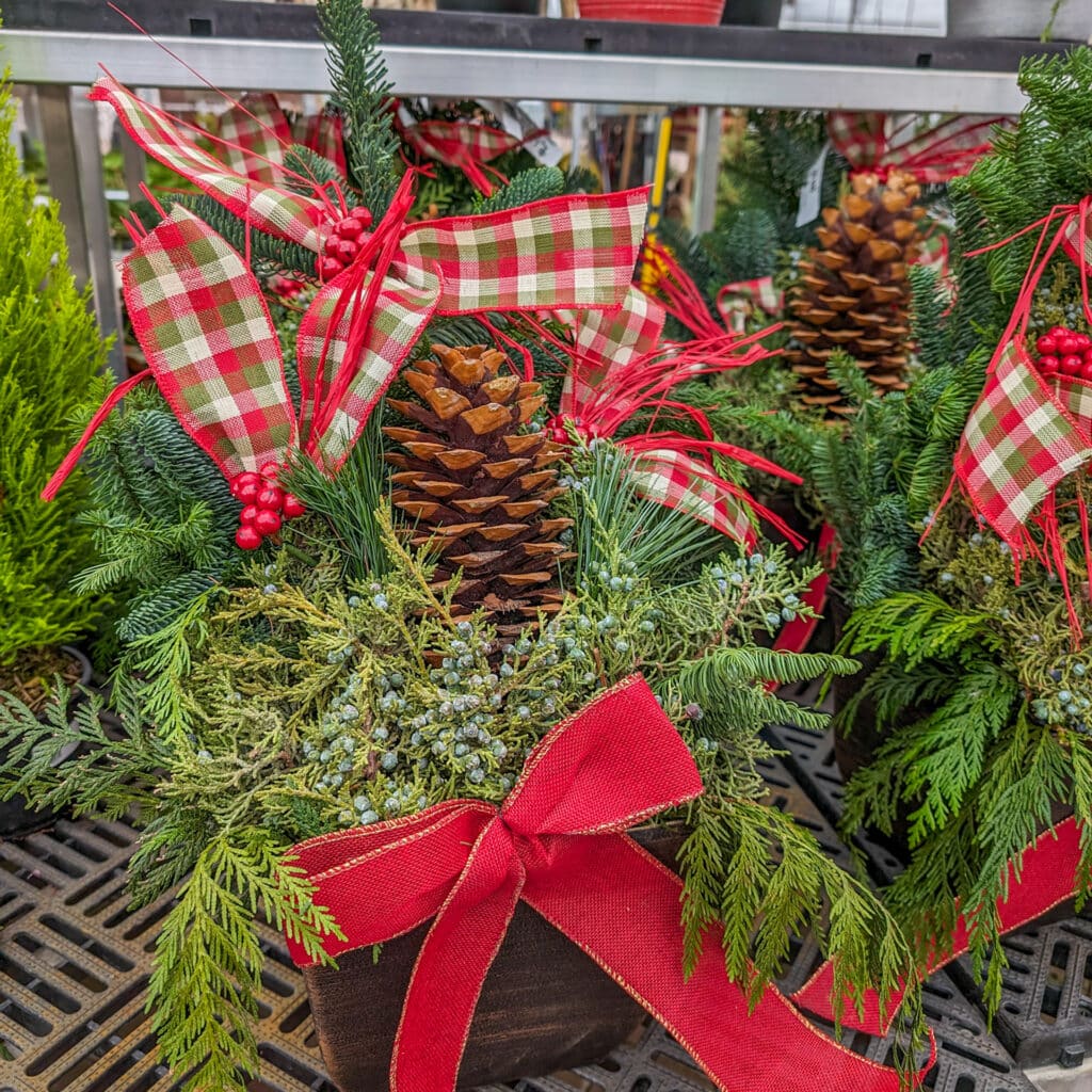 Small premade holiday container with red accents and pinecones