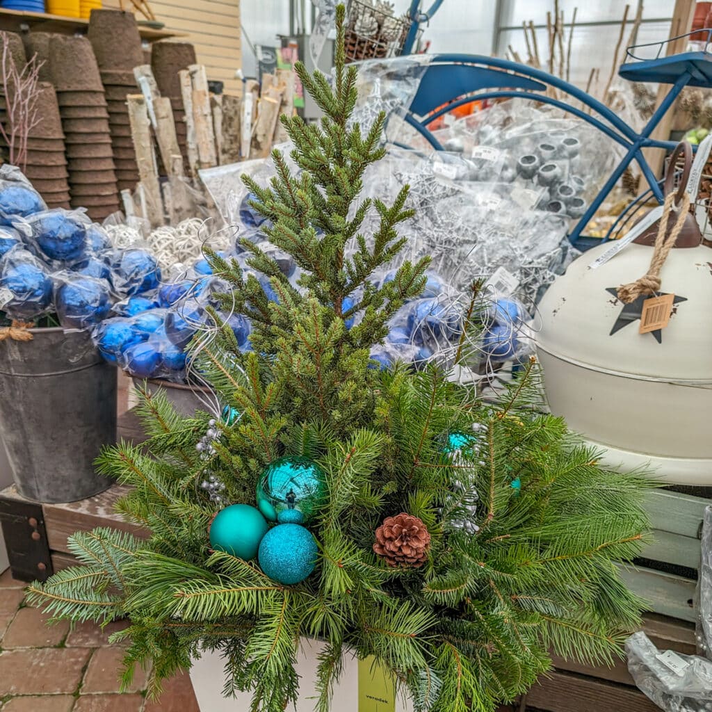 Premade holiday container with blue accents