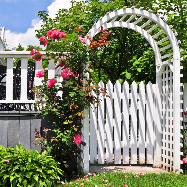 Garden Structures