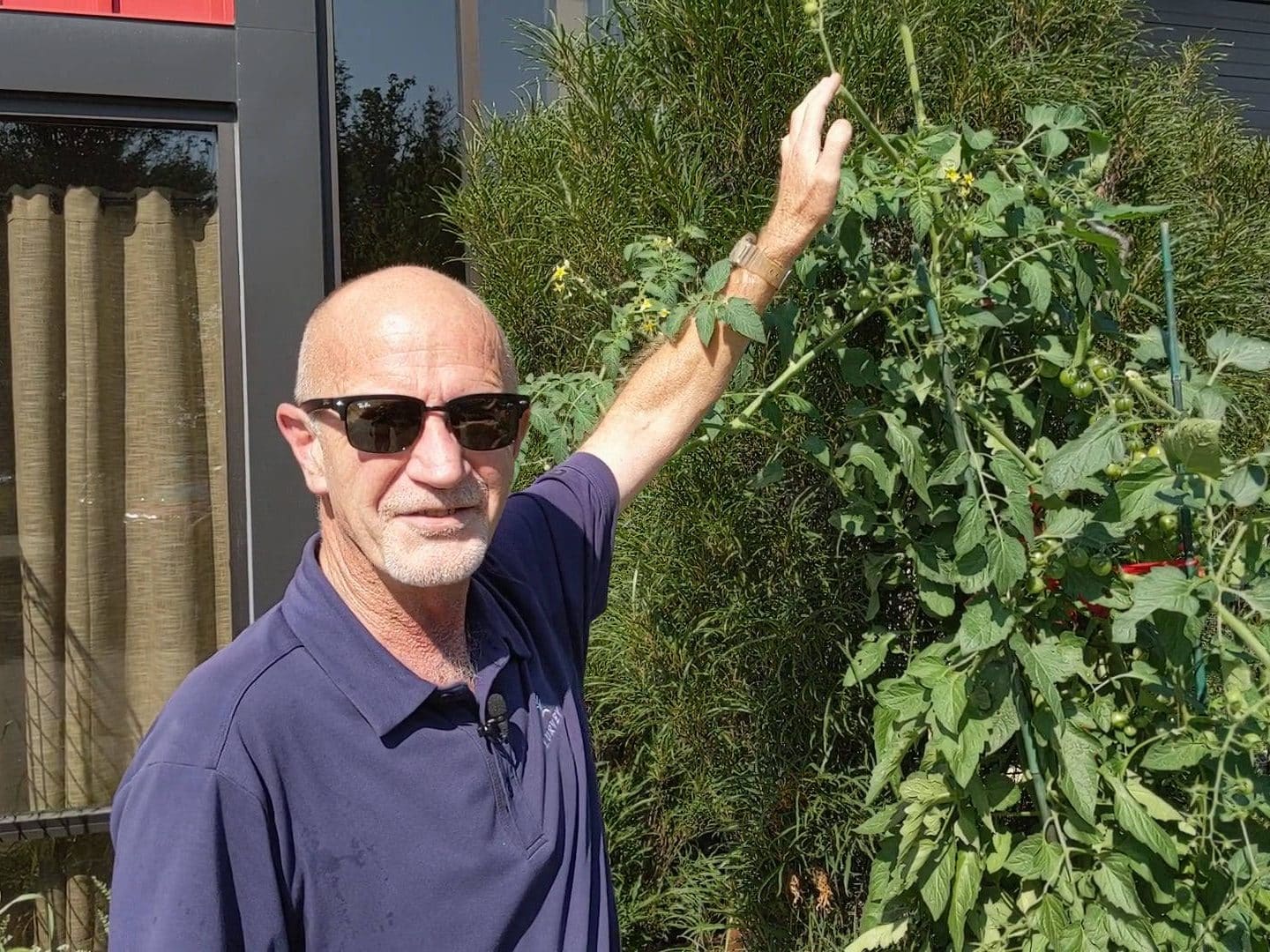 Harvesting Vegetables Lurvey Landscape Supply