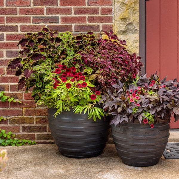 Outdoor Containers