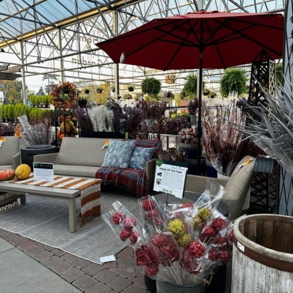 Patio Umbrellas 9'