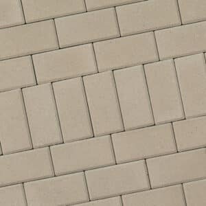 Rochester Holland Chroma Color Bone