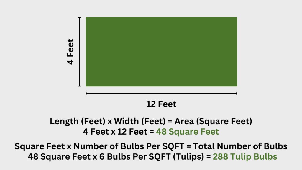 Calculation to determine how many spring flowering bulbs needed