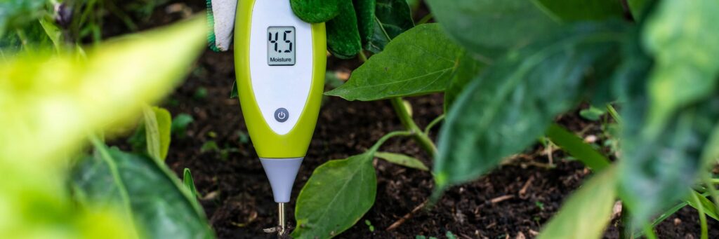 Soil moisture probe in a garden