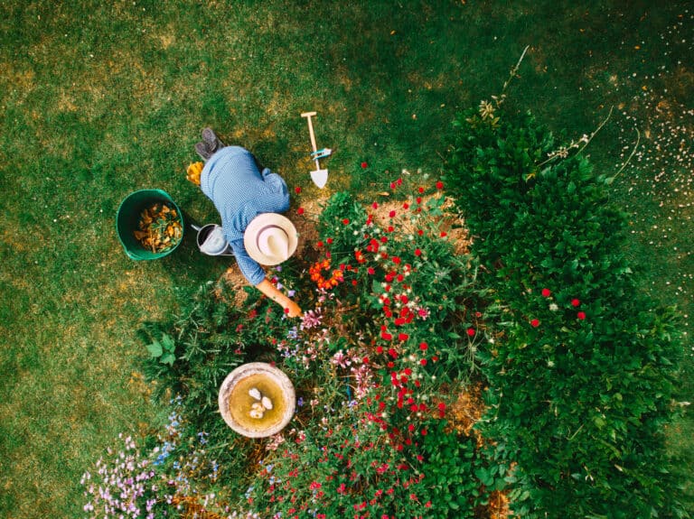 Man working on summer planting in garden bed