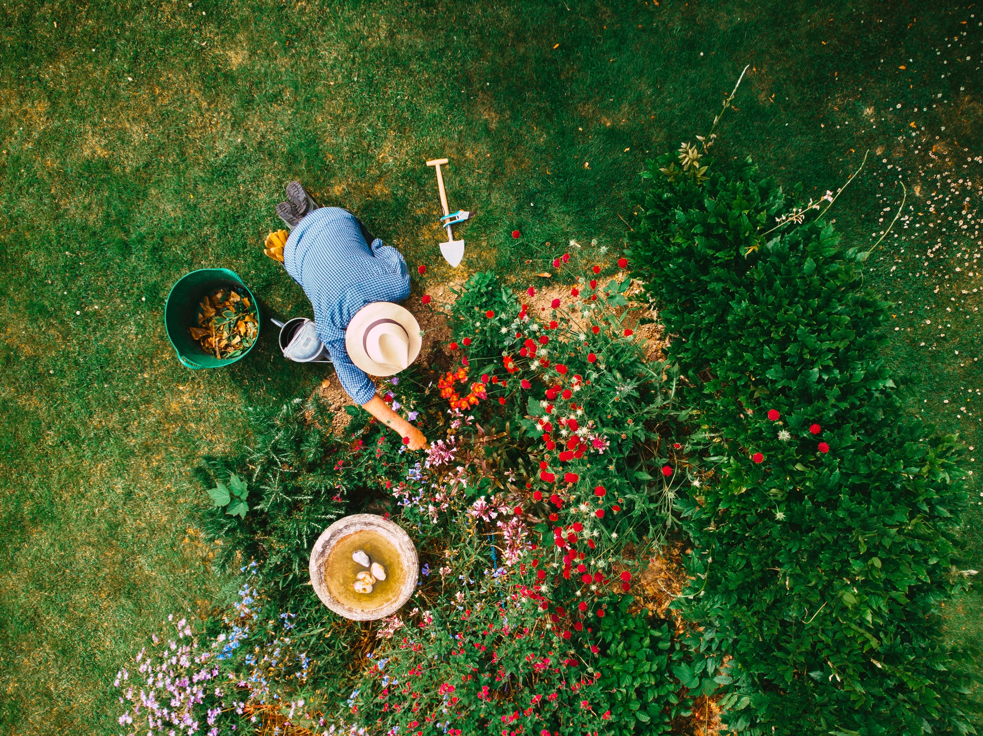 Man working on summer planting in garden bed