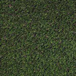 Artifical Turf MSI Meadow Pet 15' Wide