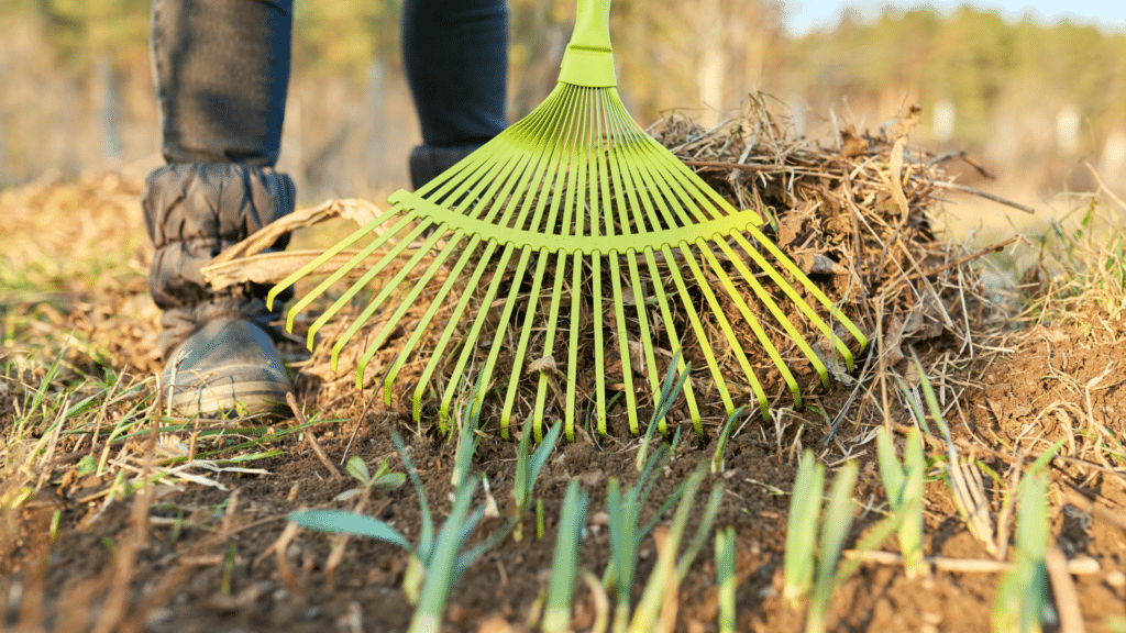 Person raking leaves and debris on lawn.