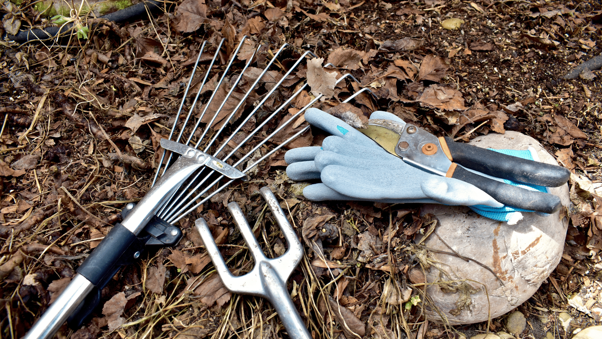 Spring cleaning gardening tools.