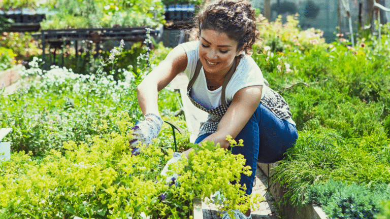 Person gardening