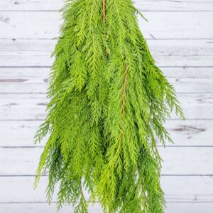 WD-Bunch, Cedar, Port Orford