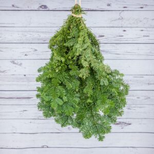 WD-Bunch, Noble Fir