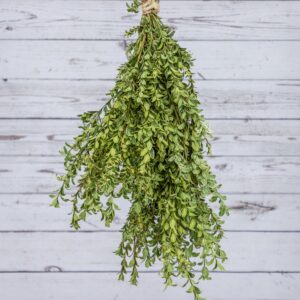 WD-Bunch, Oregonia