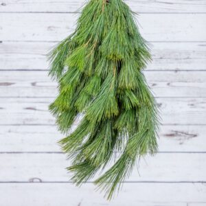 WD-Bunch, Pine, White