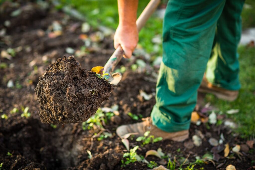 Contractor digging up soil in a garden bed