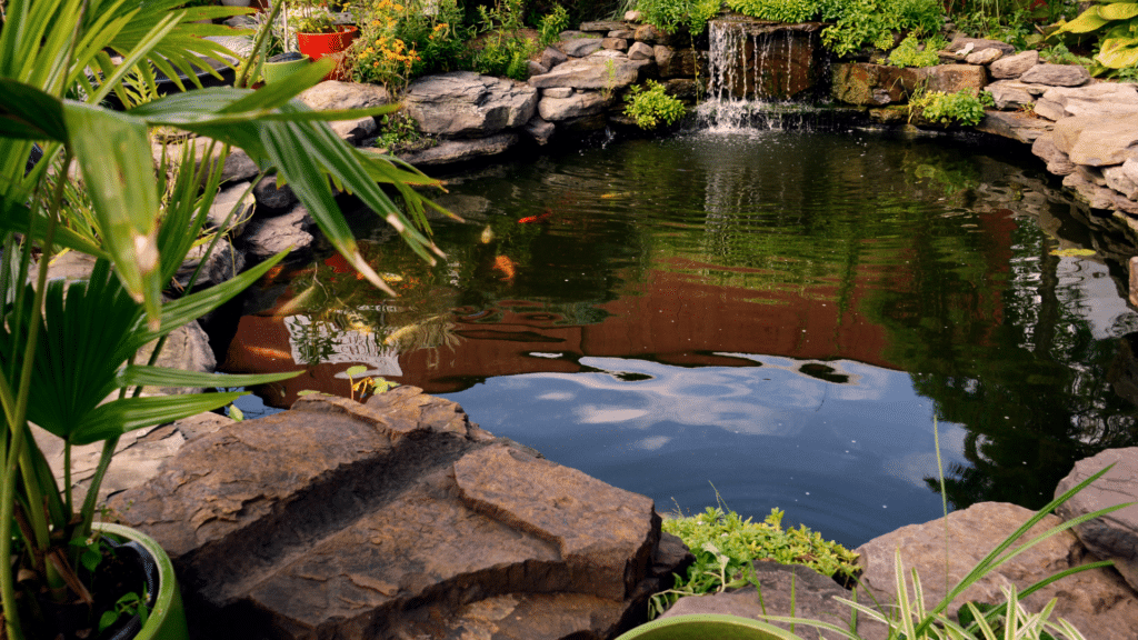 Preparing Your Pond for Winter - Lurvey Landscape Supply