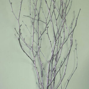 EXT-Branch, Birch, Painted, Silver, 36-48"