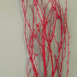 EXT-Branch, Birch, Painted, Red, 36-48"