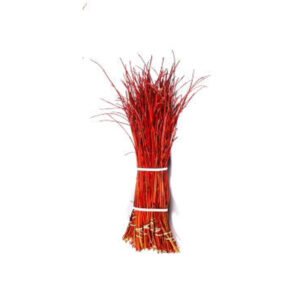 EXT-Branch, Dogwood, Cardinal Red, 30-36"