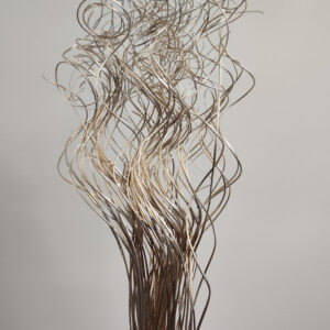 EXT-Branch, Twizzle Ting, Chmpgn Metallic
