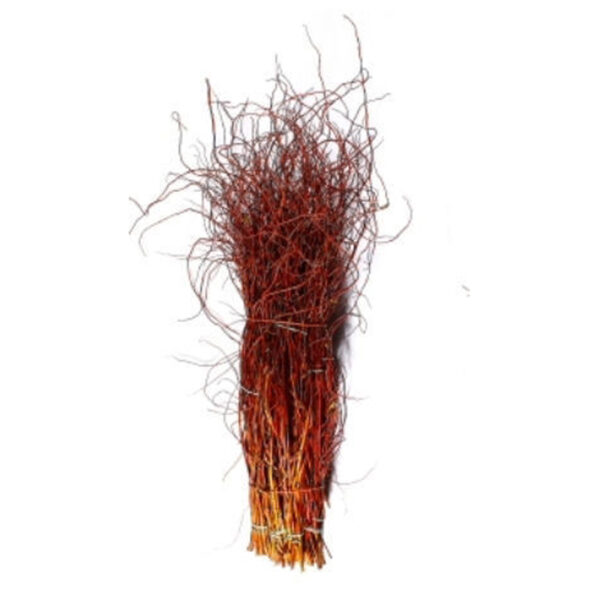 Curly Willow Md 48-60" Rd 7pc
